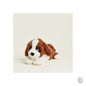 Warmies  Plush St Bernards Microwavable [optimised-1040-watermarked]