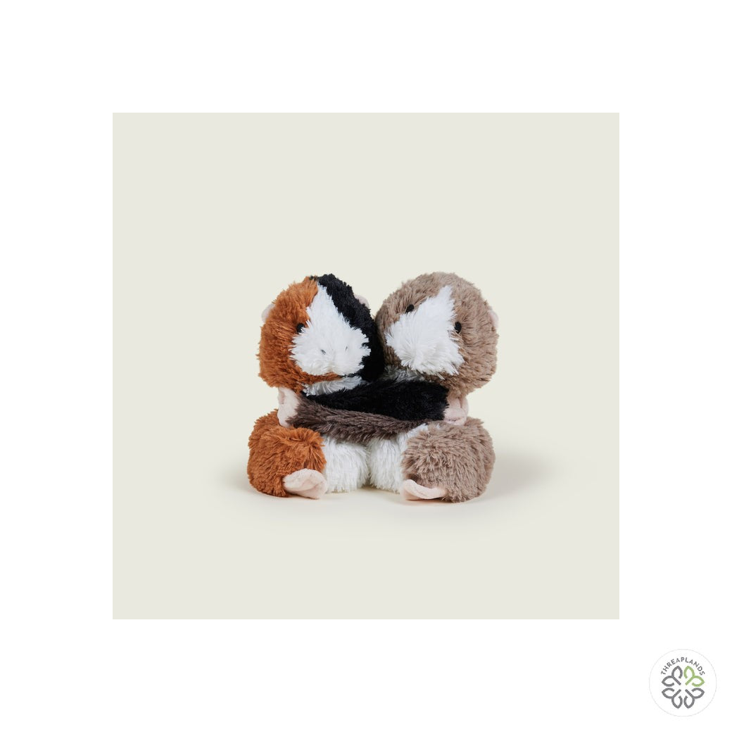 Warmies  Warm Hugs Guinea Pig tray Microwavable [optimised-1040-watermarked]