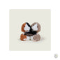 Warmies  Warm Hugs Guinea Pig tray Microwavable [optimised-1040-watermarked]