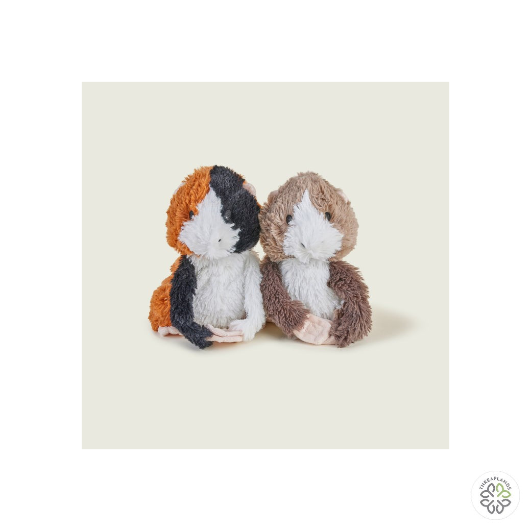 Warmies  Warm Hugs Guinea Pig tray Microwavable [optimised-1040-watermarked]