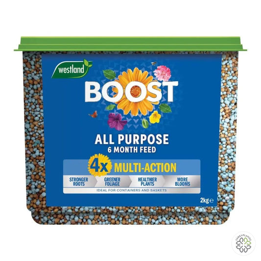 Westland Boost Slow Release Plant Food 2kg - Threaplands [optimised-1040-watermarked]