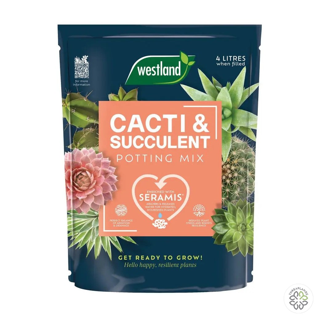 Westland Cacti Potting Mix 4L - Threaplands [optimised-1040-watermarked]