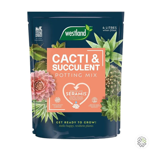Westland Cacti Potting Mix 4L - Threaplands [optimised-1040-watermarked]