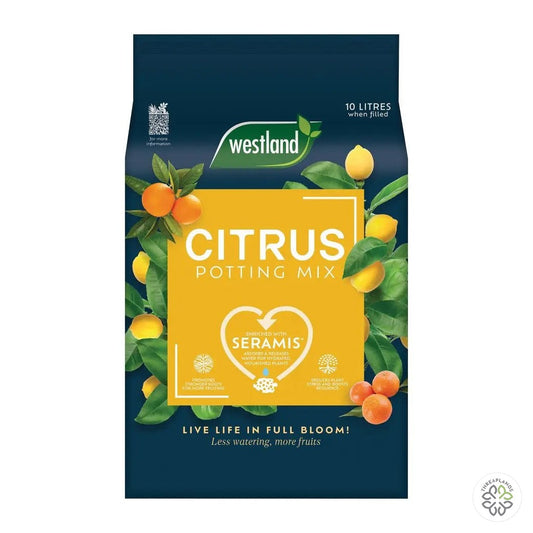 Westland Citrus Potting Mix 10L Quad - Threaplands [optimised-1040-watermarked]