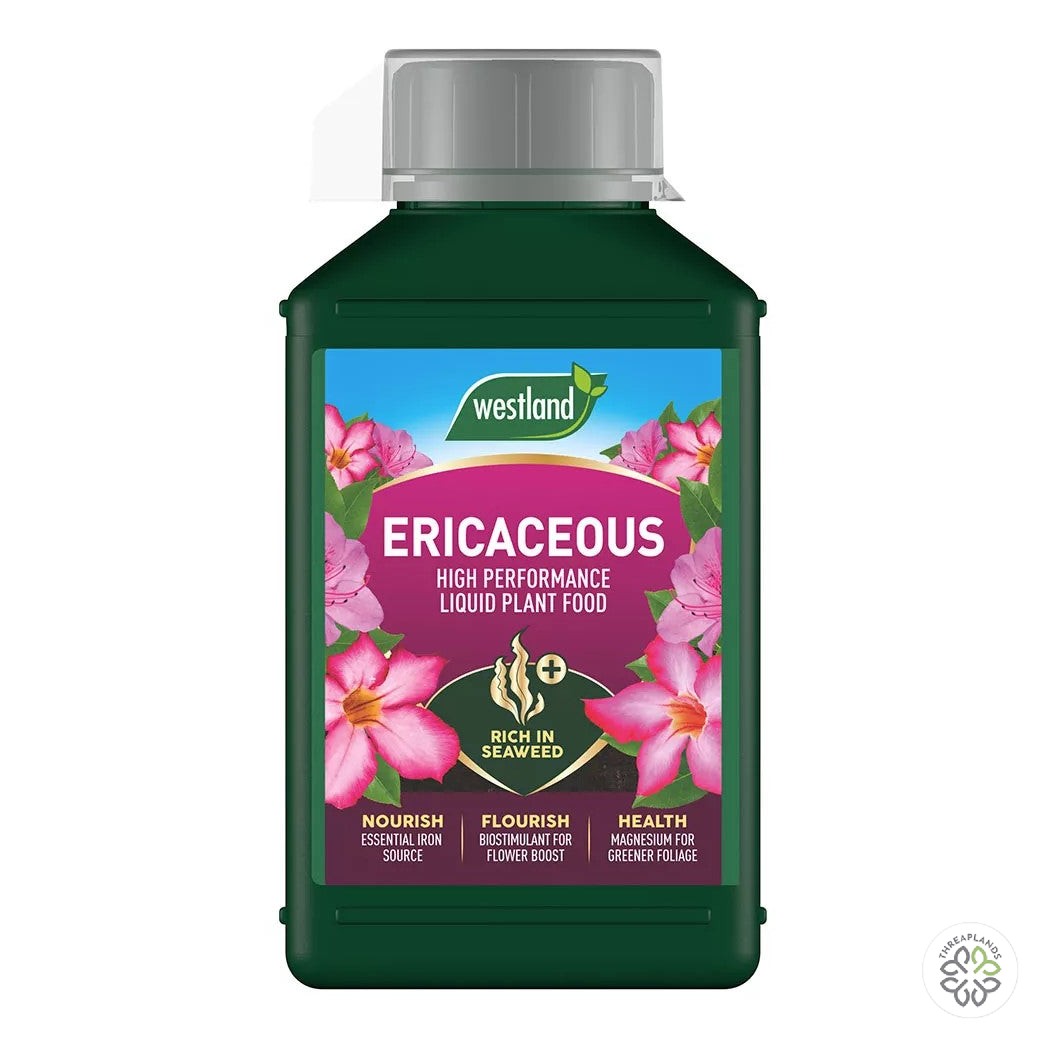 Westland Ericaceous Specialist Liquid Feed 1L - Threaplands [optimised-1040-watermarked]
