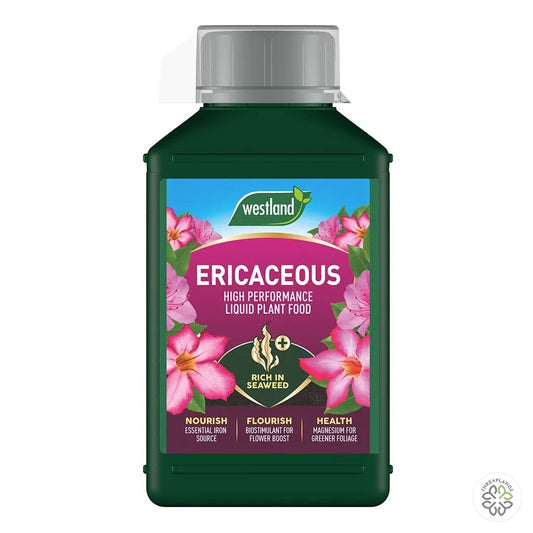 Westland Ericaceous Specialist Liquid Feed 1L - Threaplands [optimised-1040-watermarked]