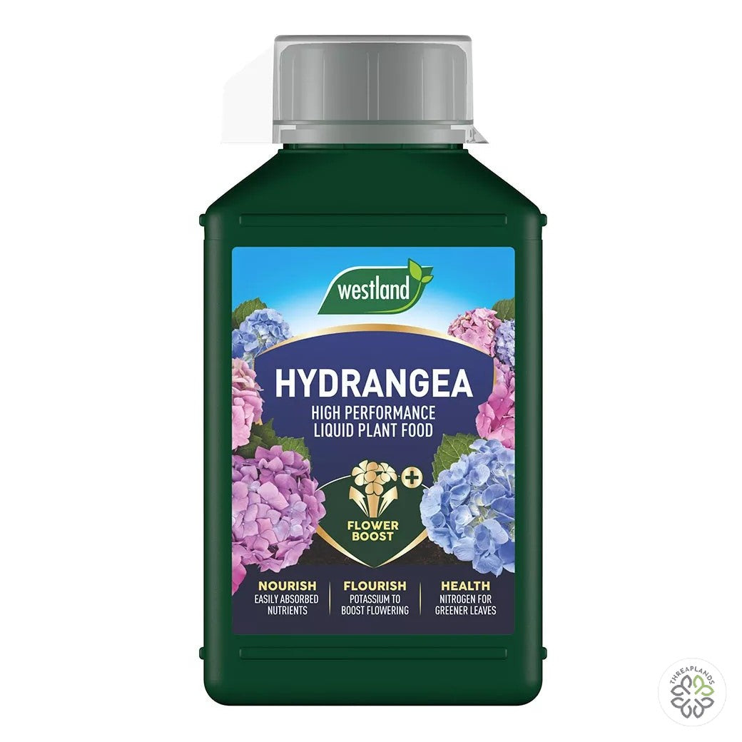 Westland Hydrangea Specialist Liquid Feed 1L - Threaplands [optimised-1040-watermarked]