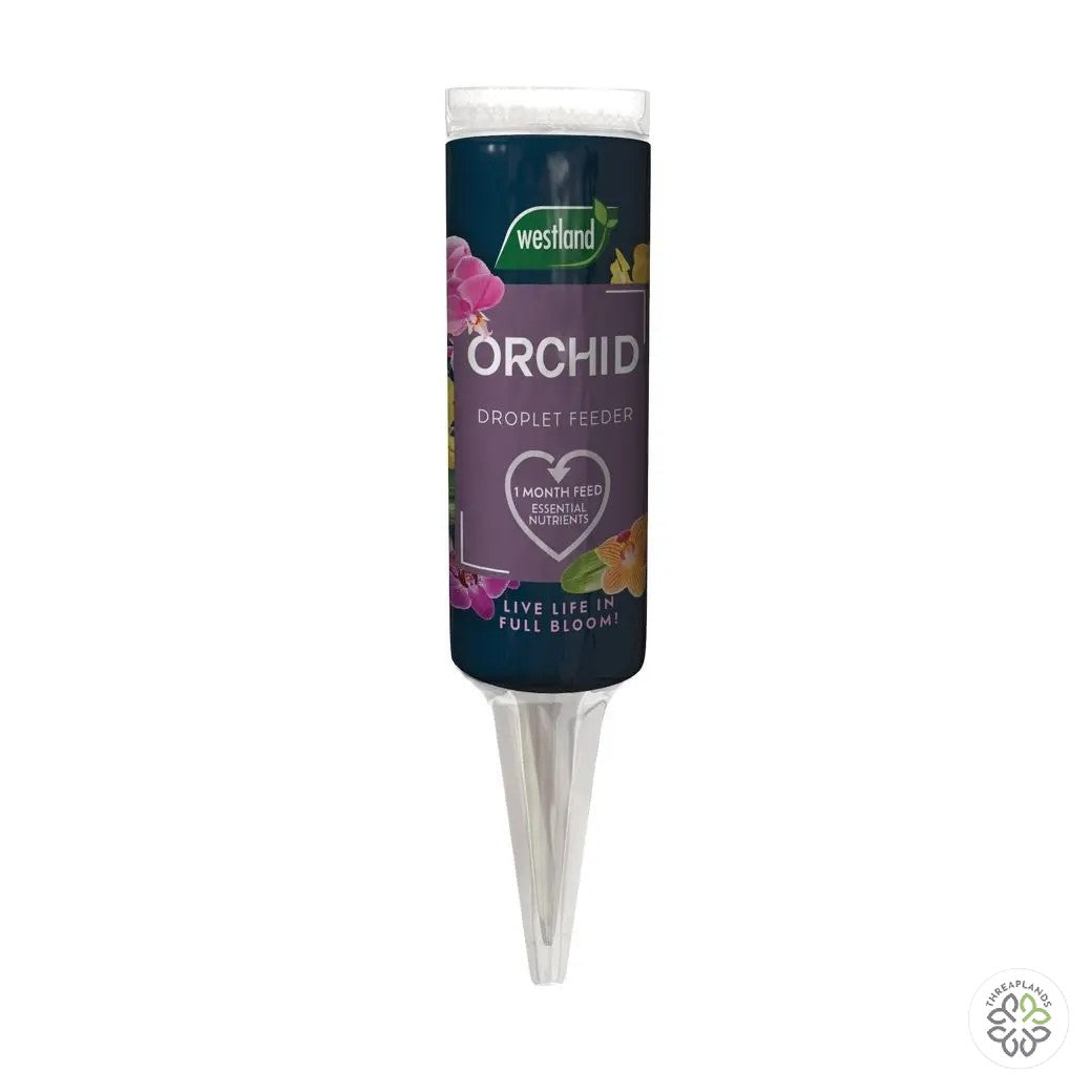 Westland Orchid Droplet Feeder 40ml - Threaplands [optimised-1040-watermarked]