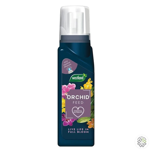 Westland Orchid Feed Concentrate 200ml - Threaplands [optimised-1040-watermarked]