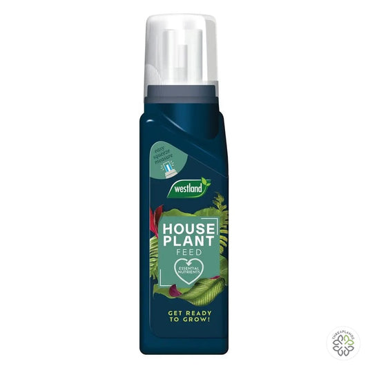 Westland Westland Houseplant Feed Concentrate 200ml - Threaplands [optimised-1040-watermarked]