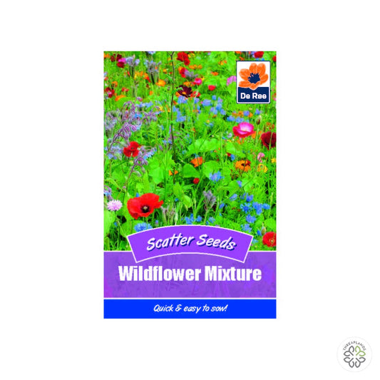 Wildflower Mixture - Scatter Seeds - Threaplands [optimised-1040-watermarked]