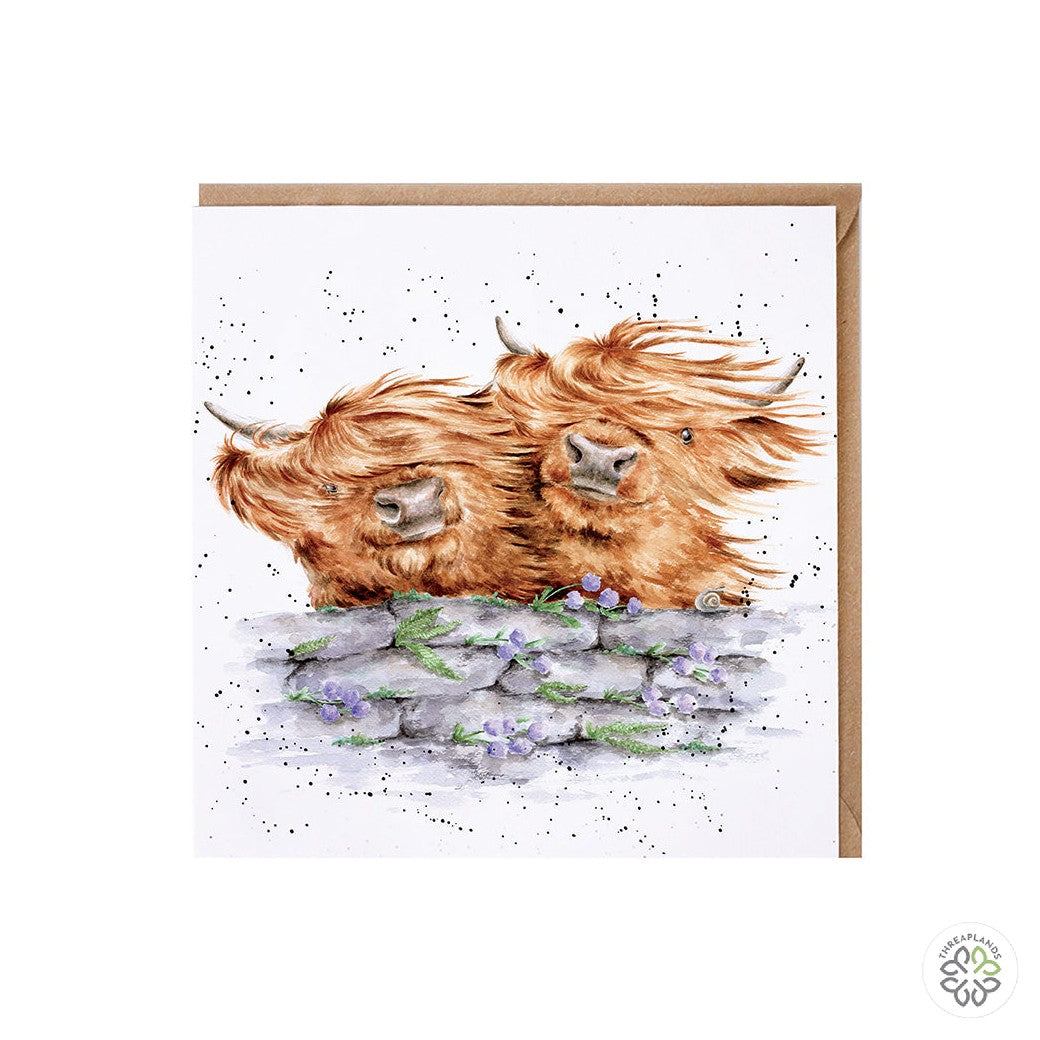 Wrendale Card - Blown Away Highland Cows [optimised-1040-watermarked]