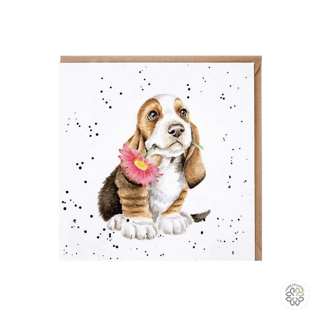 Wrendale Card - 'Just for You' Basset Hound Card [optimised-1040-watermarked]