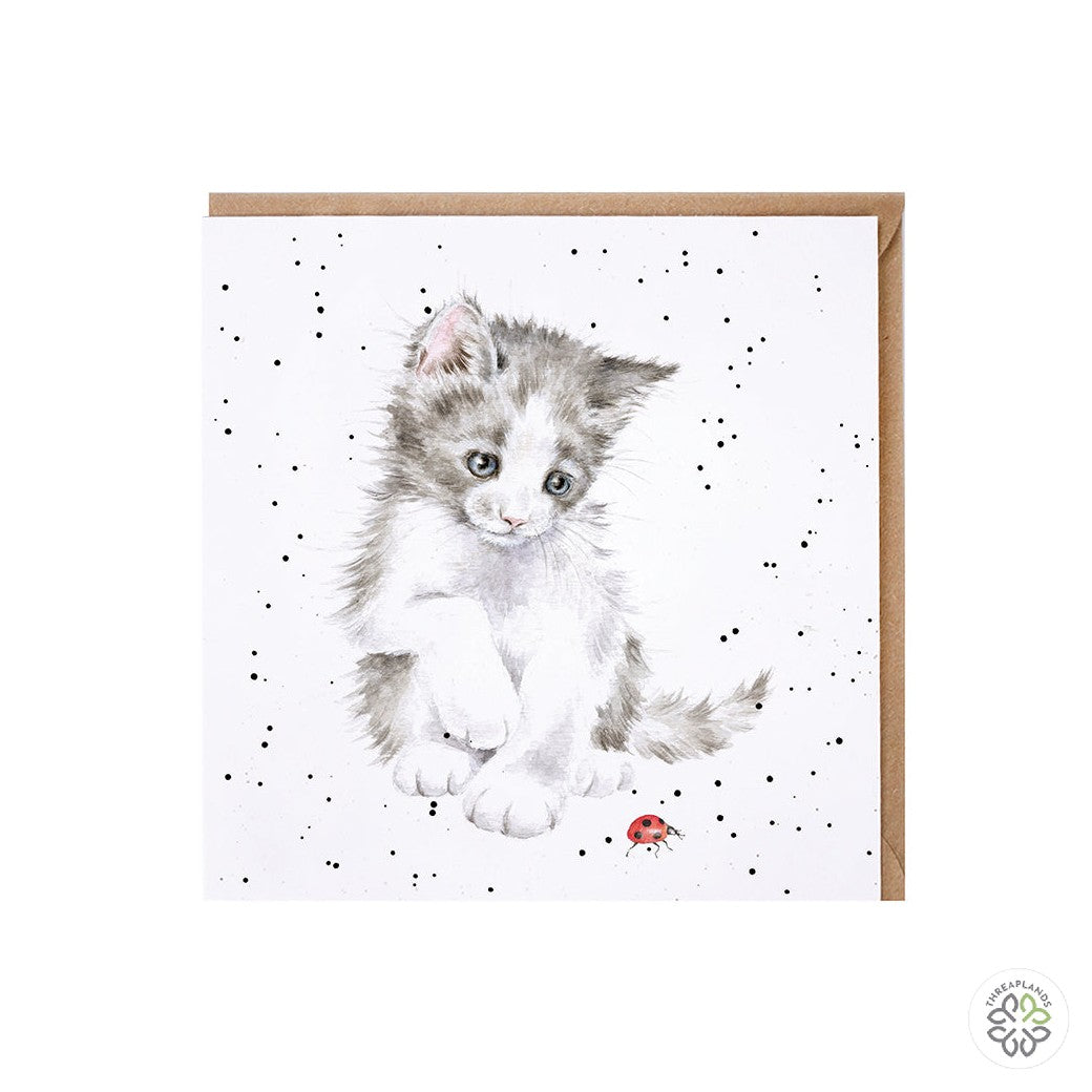Wrendale Card- Ladybird [optimised-1040-watermarked]