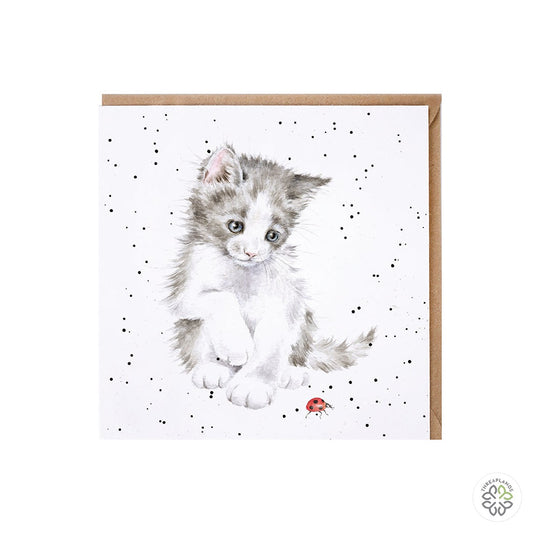 Wrendale Card- Ladybird [optimised-1040-watermarked]