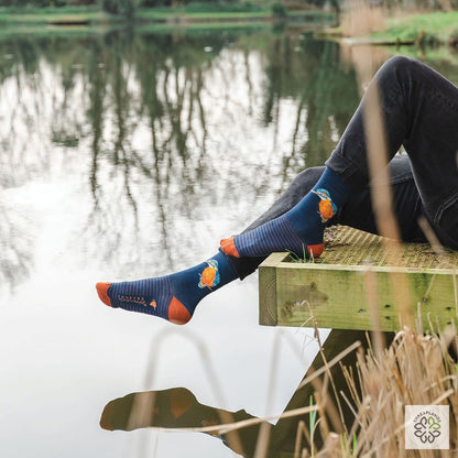 Wrendale Mens Sock The Riverband Kingfisher [optimised-1040-watermarked]