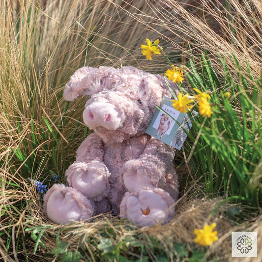 Wrendale Pig Medium Plush Vanessa [optimised-1040-watermarked]
