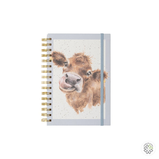 Wrendale A5 Cow Notebook - Mooo [optimised-1040-watermarked]