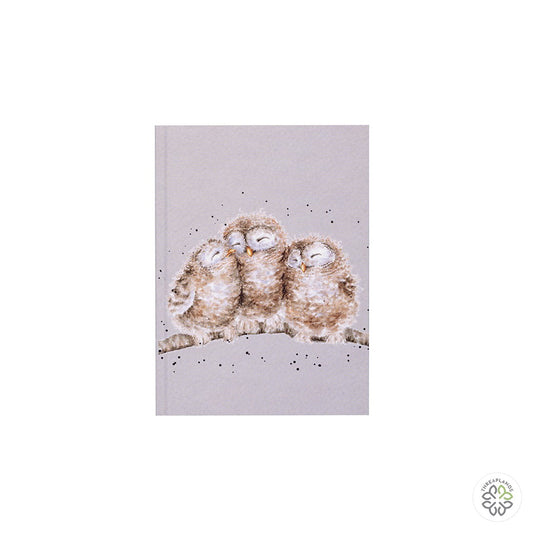 Wrendale A5 Owl Notebook - Owlets - Threaplands [optimised-1040-watermarked]