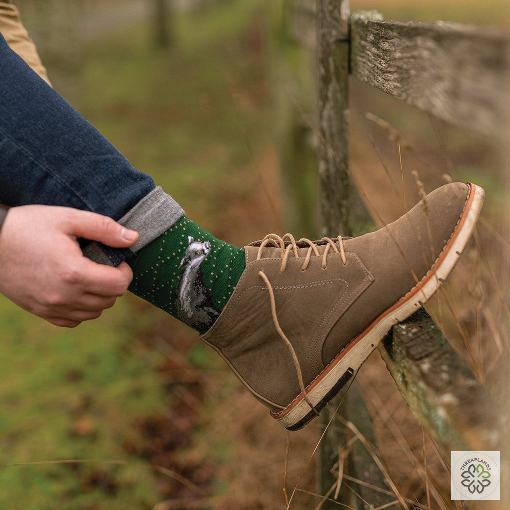 Wrendale Badger Socks - A Country Gent [optimised-1040-watermarked]