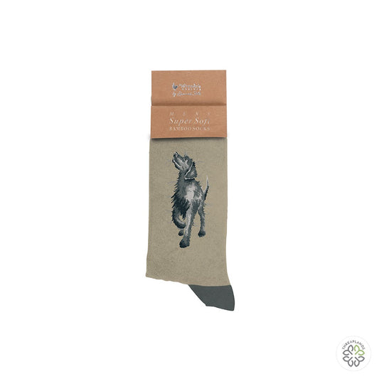 Wrendale Black Labrador Men's Sock - Walkies [optimised-1040-watermarked]