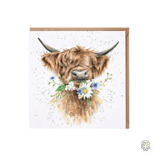 Wrendale Card - Daisy Coo [optimised-1040-watermarked]