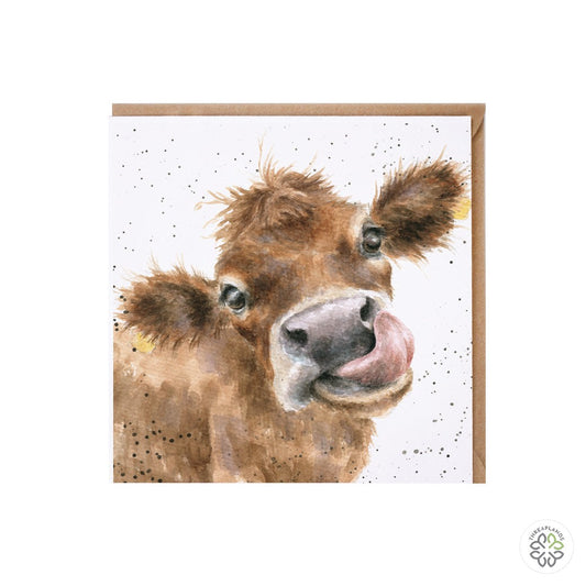 Wrendale Card - Mooooo - Threaplands [optimised-1040-watermarked]