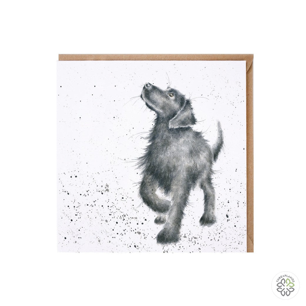 Wrendale Card - Walkies [optimised-1040-watermarked]