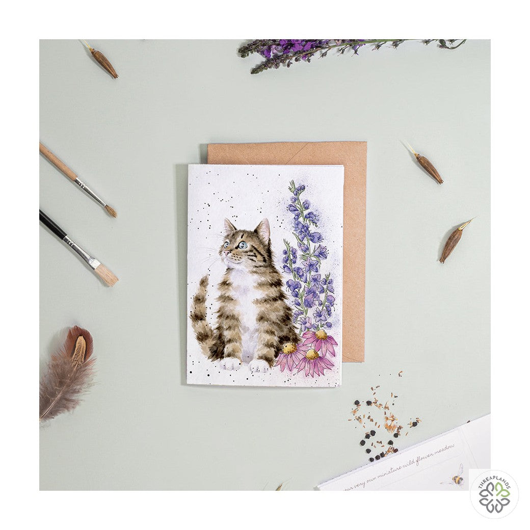 Wrendale Cat Seed Card - Whiskers & Wildflowers [optimised-1040-watermarked]