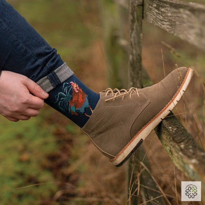 Wrendale Cockerel Sock - Colours of the Rainbow [optimised-1040-watermarked]
