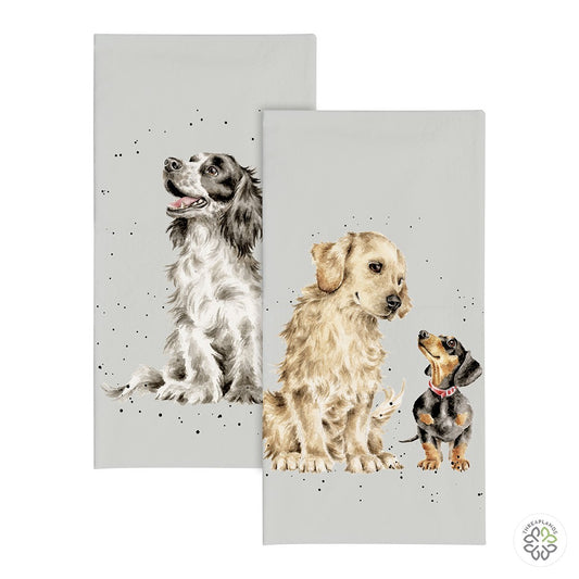 Wrendale Dog Pocket Tissues - First Dates - Threaplands [optimised-1040-watermarked]