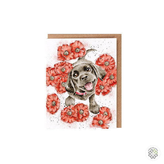 Wrendale Dog Seed Card - Poppy Love [optimised-1040-watermarked]