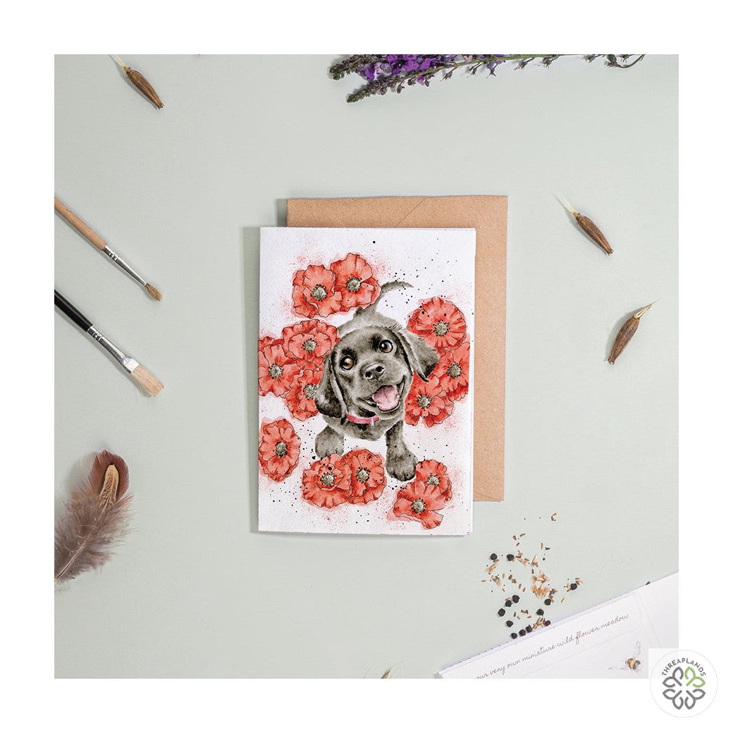 Wrendale Dog Seed Card - Poppy Love [optimised-1040-watermarked]
