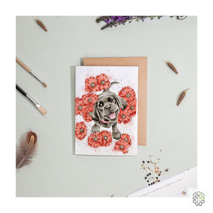Wrendale Dog Seed Card - Poppy Love [optimised-1040-watermarked]