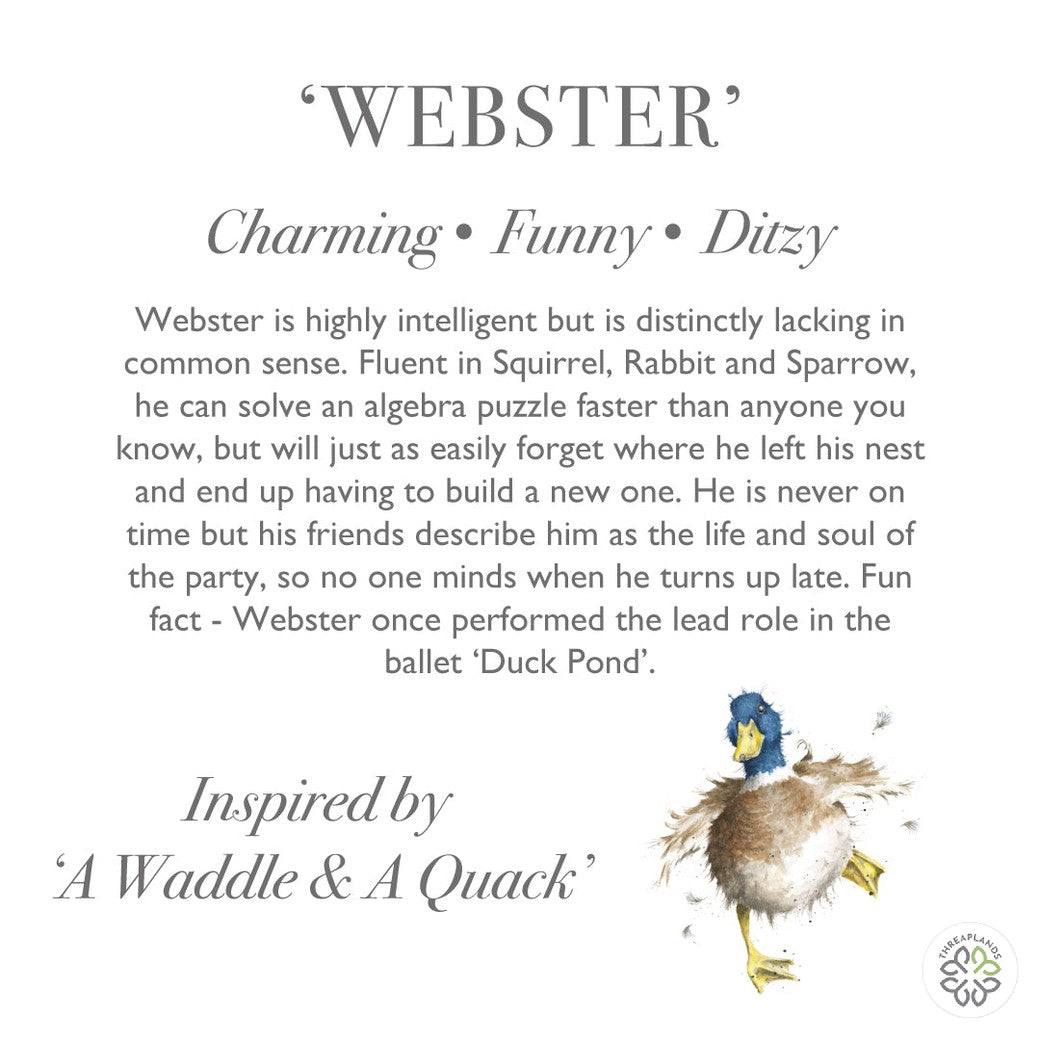 Wrendale Duck Medium Plush [optimised-1040-watermarked]