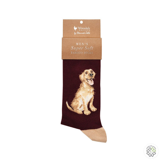 Wrendale Golden Lab Socks - Good as Gold [optimised-1040-watermarked]