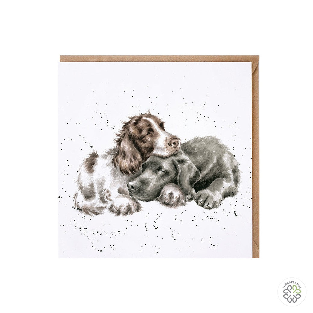 Wrendale Card- Growing Old Together [optimised-1040-watermarked]