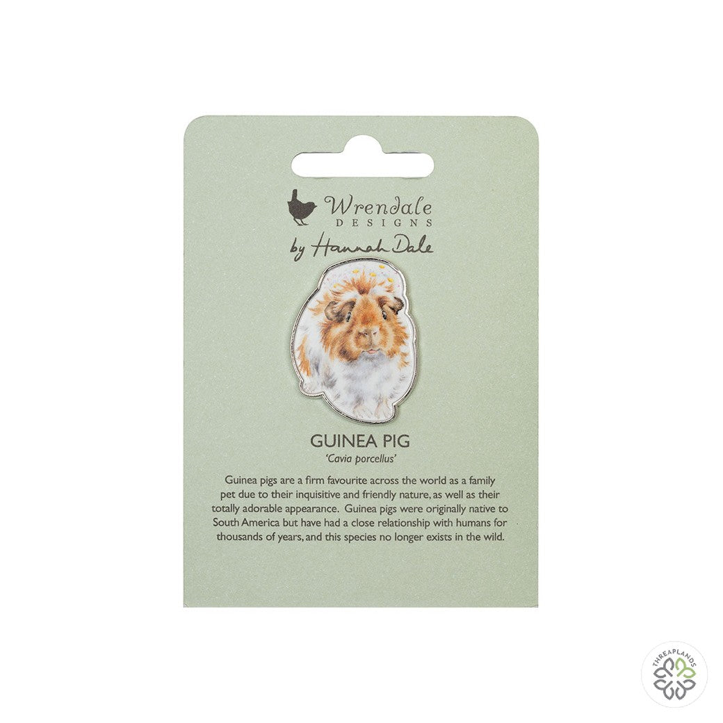 Wrendale Guinea Pig Pin Badge - Grinny Pig - Threaplands [optimised-1040-watermarked]