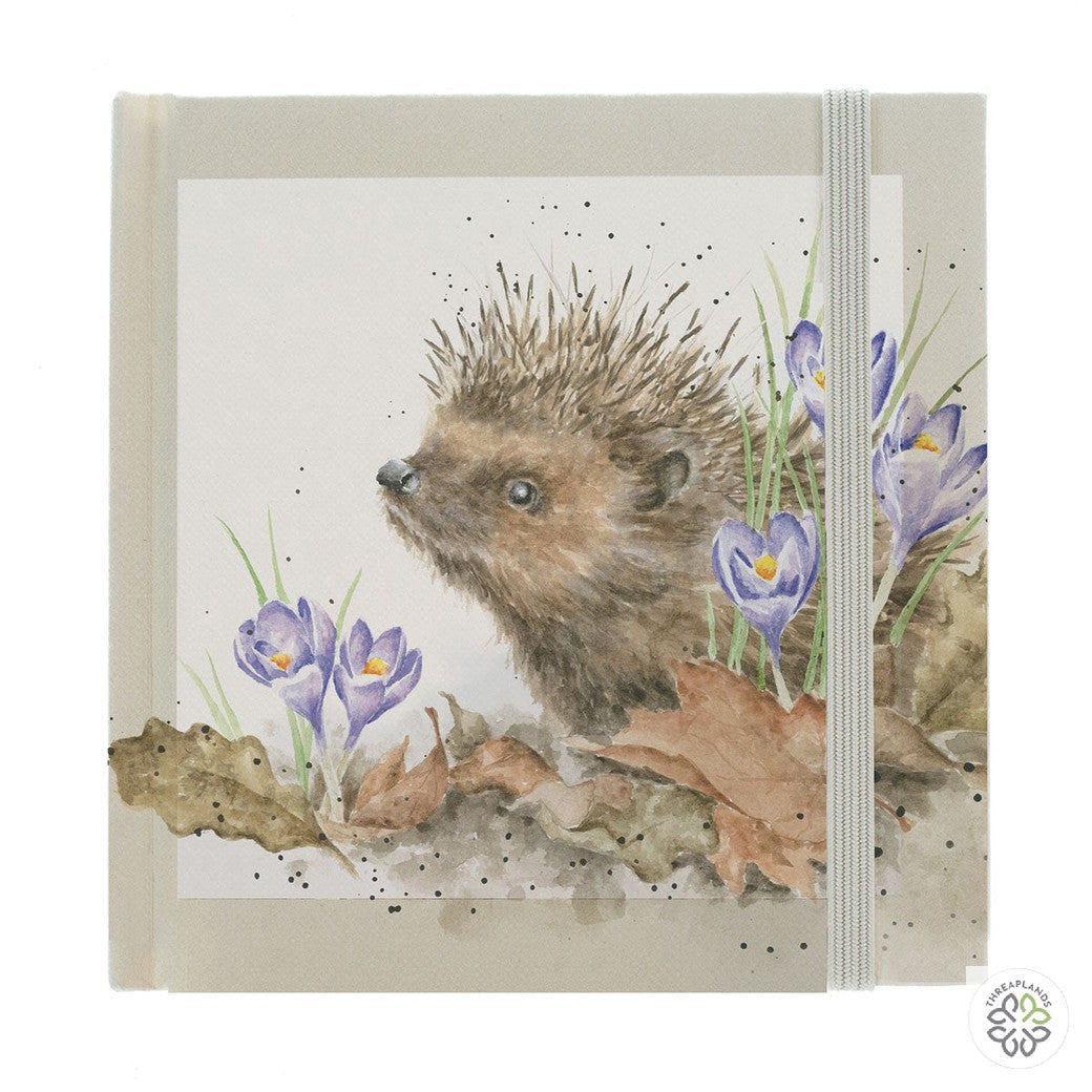 Wrendale Hedgehog Password Book - New Beginnings - Threaplands [optimised-1040-watermarked]