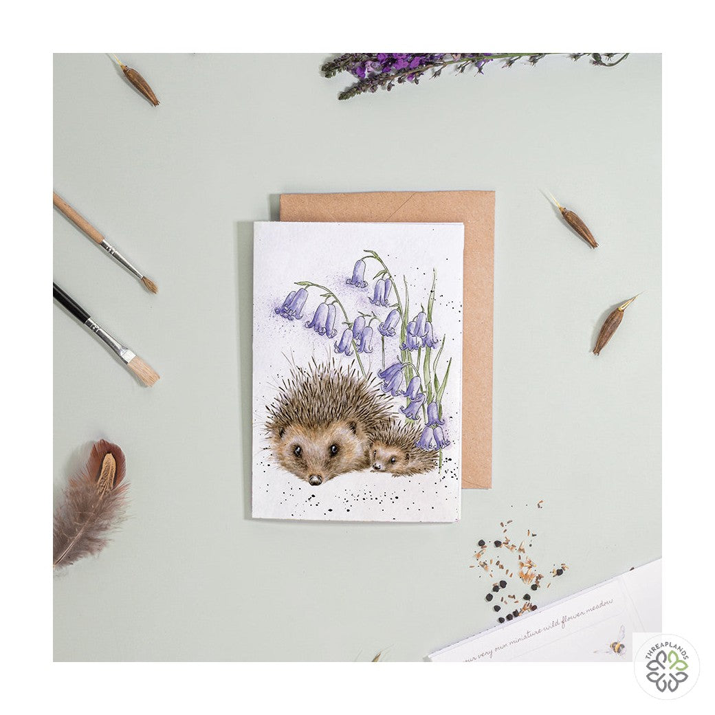 Wrendale Hedgehog Seed Card - Love & Hedgehugs [optimised-1040-watermarked]