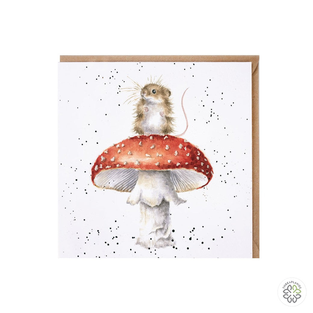 Wrendale Card - He's A FunGi [optimised-1040-watermarked]