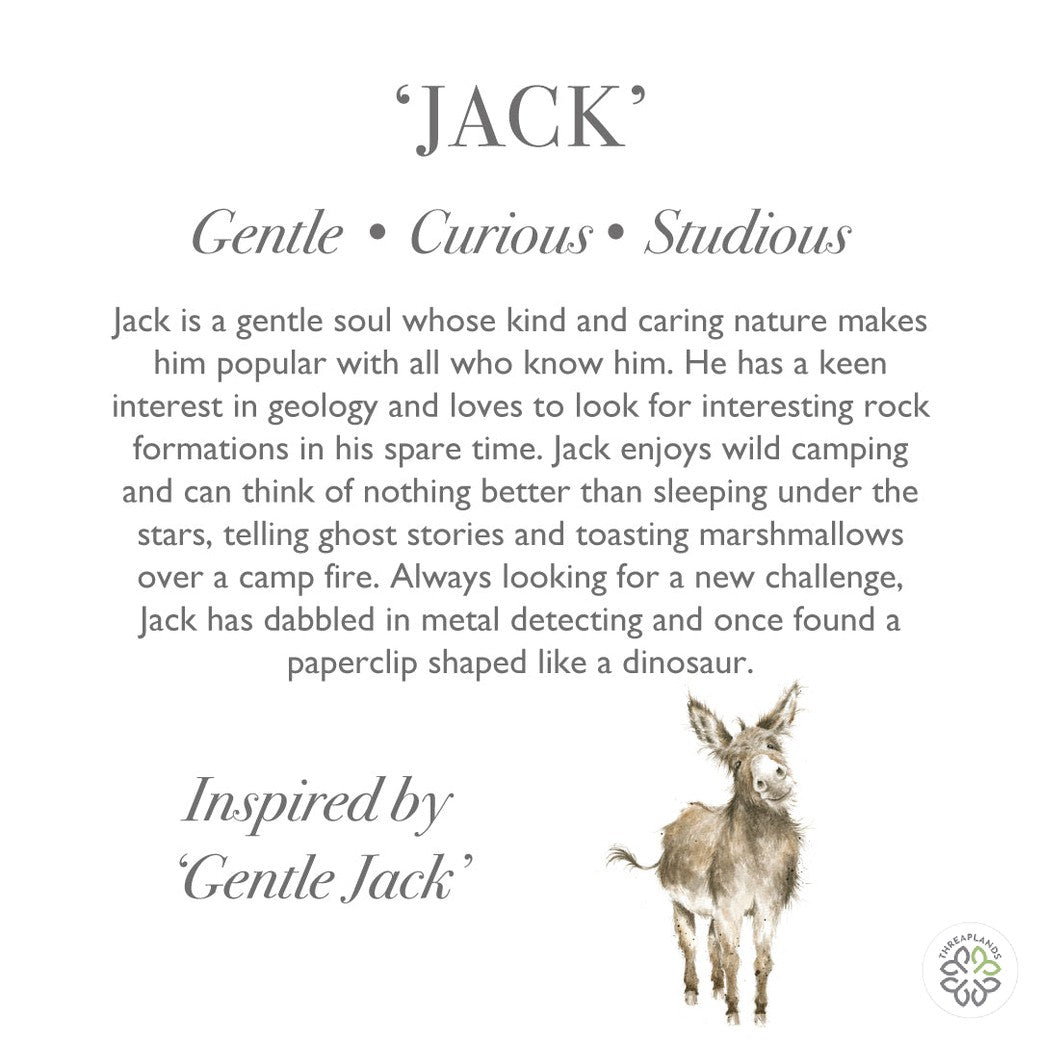 Wrendale Junior Donkey Plush- Jack - Threaplands [optimised-1040-watermarked]
