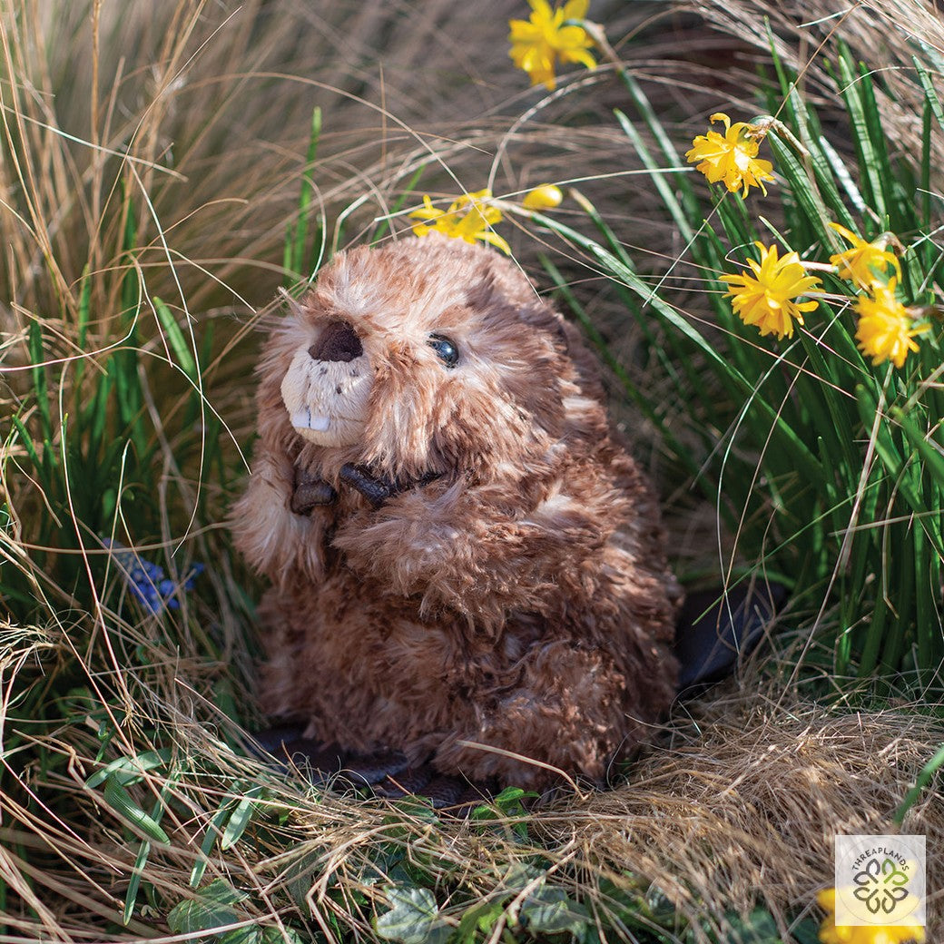Wrendale Medium Beaver Plush- Chester [optimised-1040-watermarked]