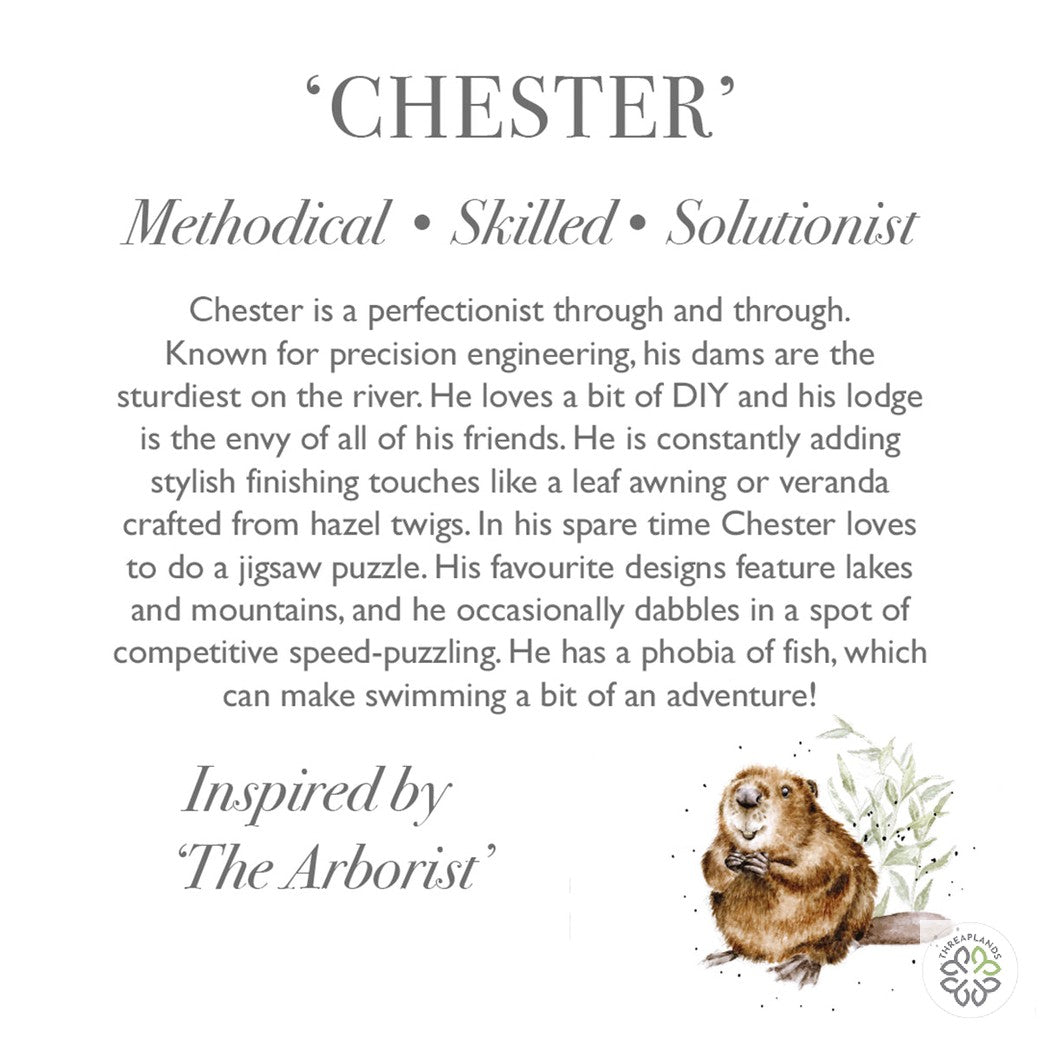 Wrendale Medium Beaver Plush- Chester [optimised-1040-watermarked]