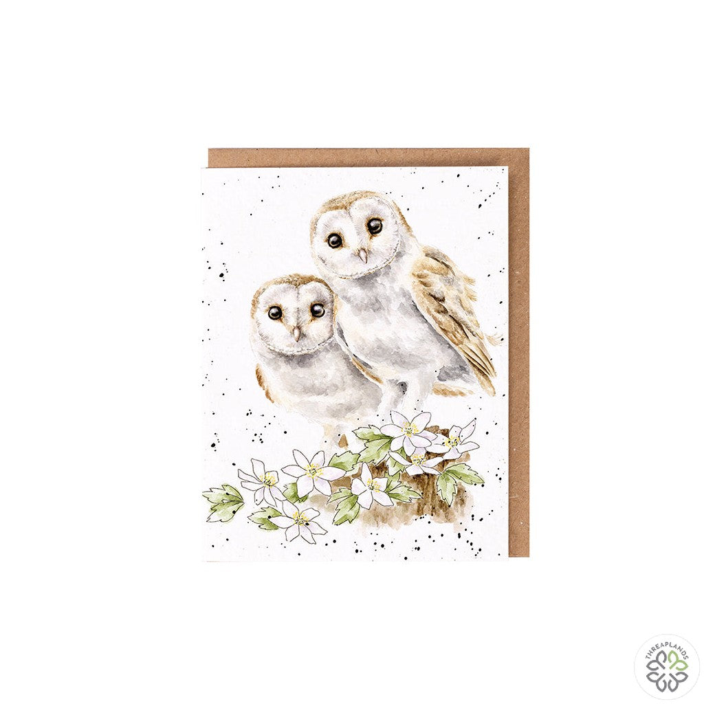 Wrendale Owl Seed Card - Hooting For You [optimised-1040-watermarked]