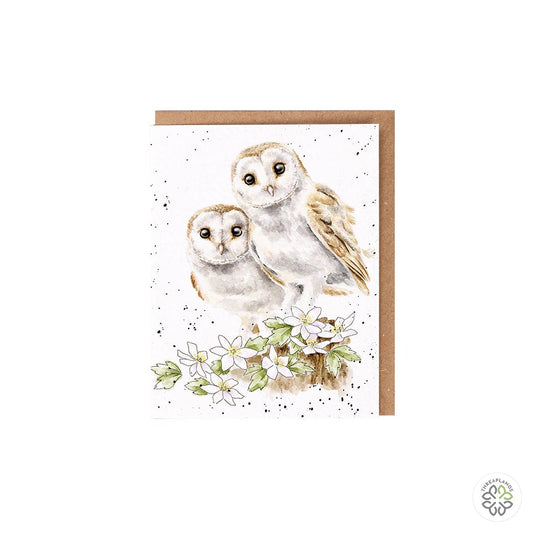 Wrendale Owl Seed Card - Hooting For You [optimised-1040-watermarked]