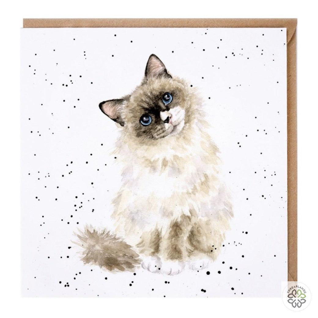 Wrendale Card- Paws for Thought [optimised-1040-watermarked]