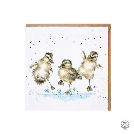 Wrendale Card- Puddle Ducks [optimised-1040-watermarked]