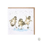 Wrendale Card- Puddle Ducks [optimised-1040-watermarked]