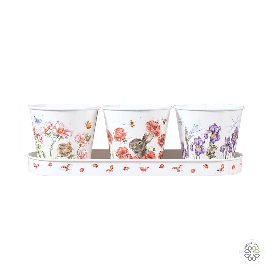 Wrendale Set of 3 Herb Pots - Floral Tray [optimised-1040-watermarked]